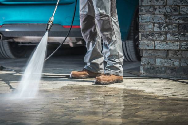 Best Animal Enclosure Cleaning  in Capitol View, SC